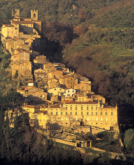 Collodi